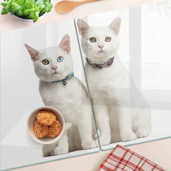 Dekorative glasplader til snacks, hvide katte, 2x40x52 cm