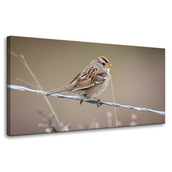 Lærredstryk Dyr Spurv 80x40 cm