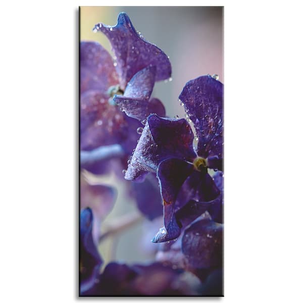 Lærredstryk Botanik Hortensia blomst 40x80 cm