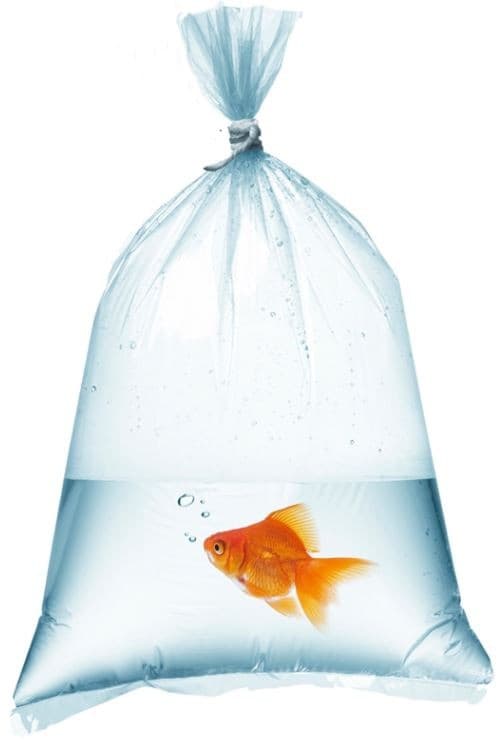 Akvariefiskpåsar 12x35cm - 50 st.