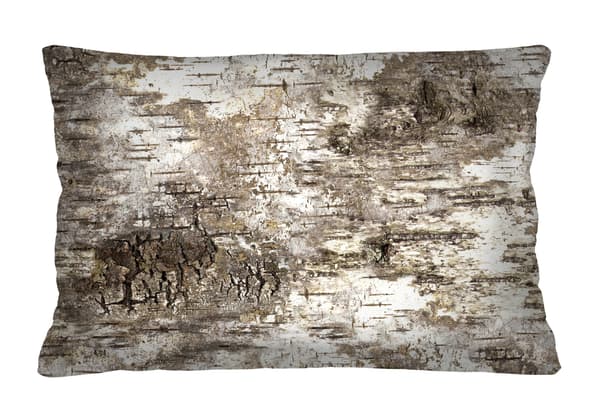 Pude - BIRCH - 40x60 cm