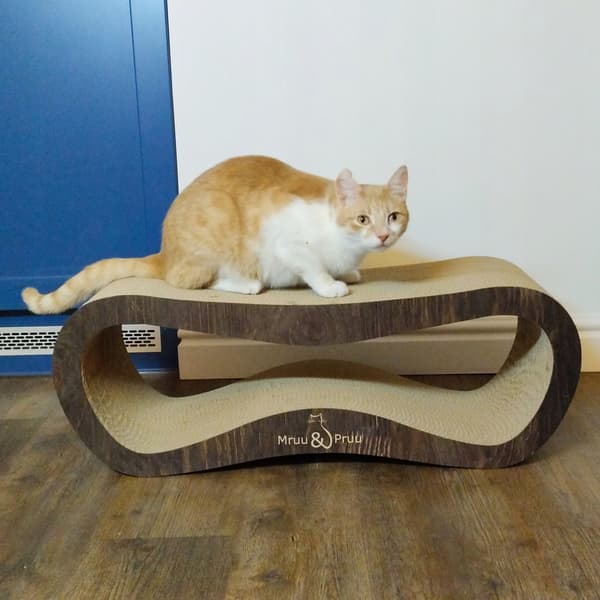 LEON kradsetræ til katte | brun | 78x28x24 cm | MruuPruu