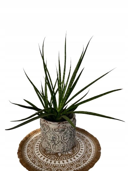 Blomsterplantestøttering klemme støttering S 33x18cm 3 stk.