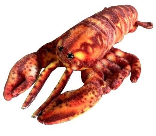 Hummer 28cm