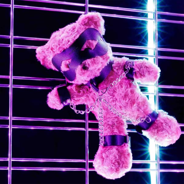 CRUSHIOUS CRUSHITO BONDAGE BAMSE SORT 31CM