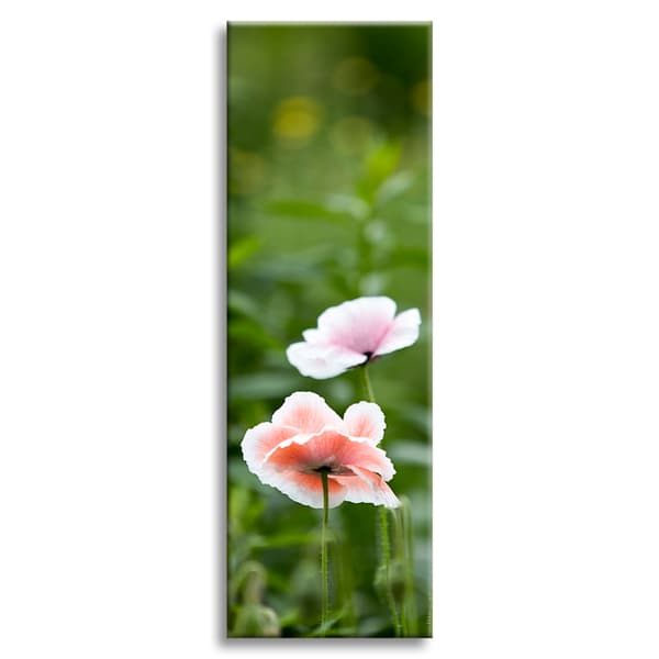 Canvastavla Botanik Vallmoblommor 40x120 cm