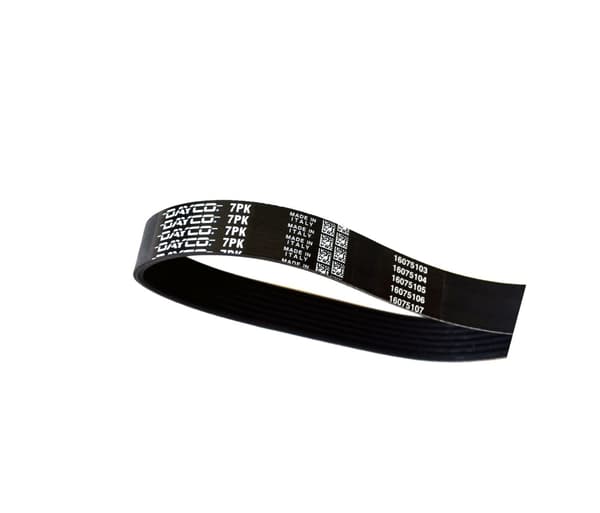 DY 7PK1240 DAYCO MICRO-V-REM