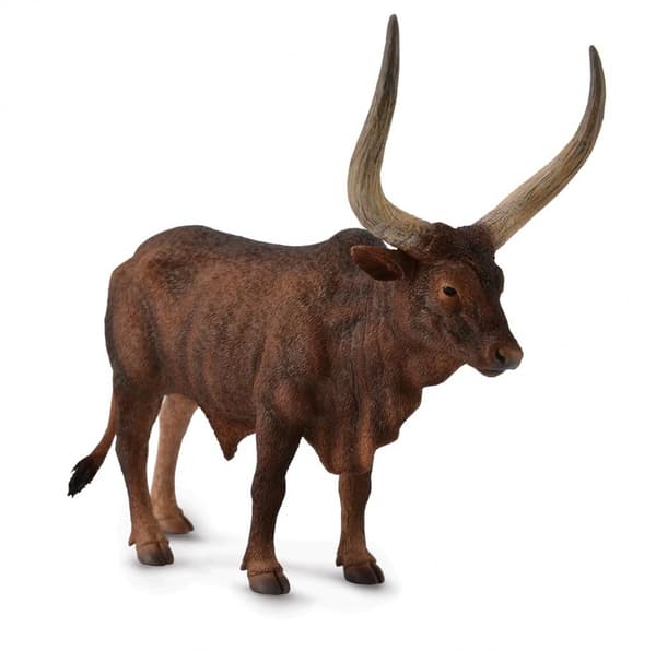 Ankole-Watusi-härkä