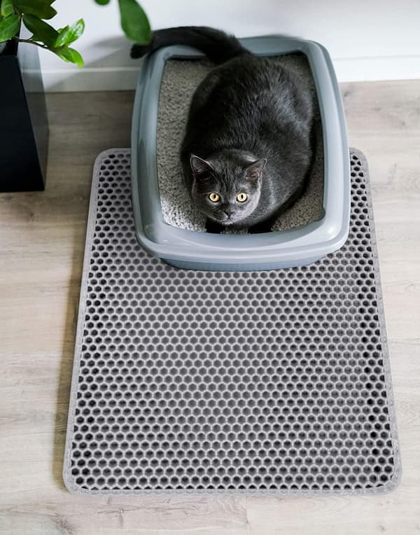 Catsy dörrmatta, 40x50 cm, grå