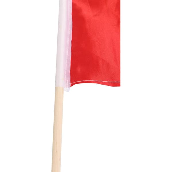 Pieni Puolan lippu kepissä