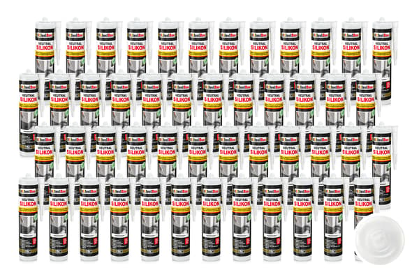 IsolBau Neutral Silikone Transparent Neutralsilikone 48 x 300ml