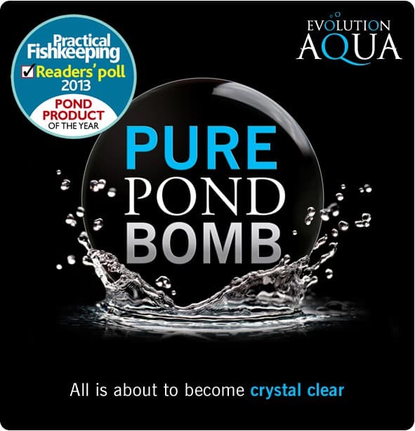 Evolution Aqua PURE Pond Bomb - bakterier för dammen