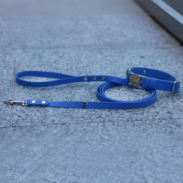 Hexa city hundkoppel, bredd 10 mm, S, 2,2 m/blå