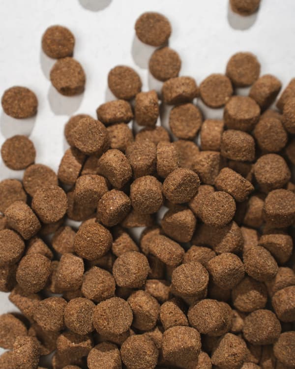 Half&Half Premium Torrfoder för Hundar av Mellanstor Ras Nötkött 2kg