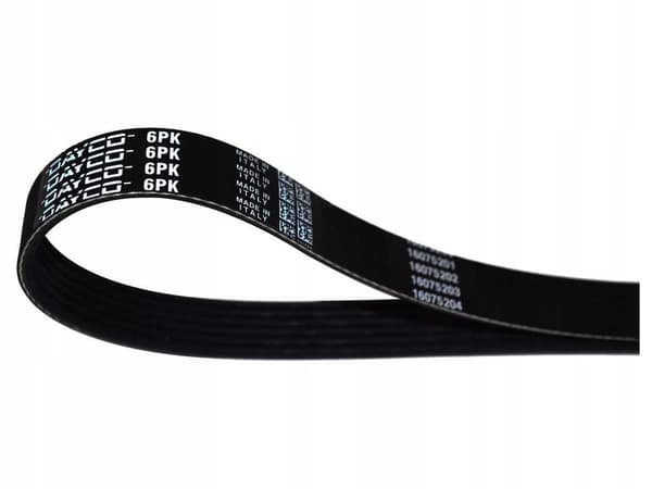 DY 6PK1345 DAYCO MIKRO-V-REM
