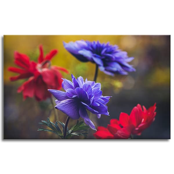 Lærredstryk Botanik Vilde blomster 80x50 cm