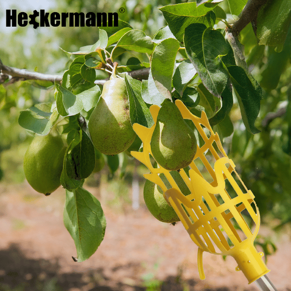 Heckermann teleskopisk fruktplockare modell 4