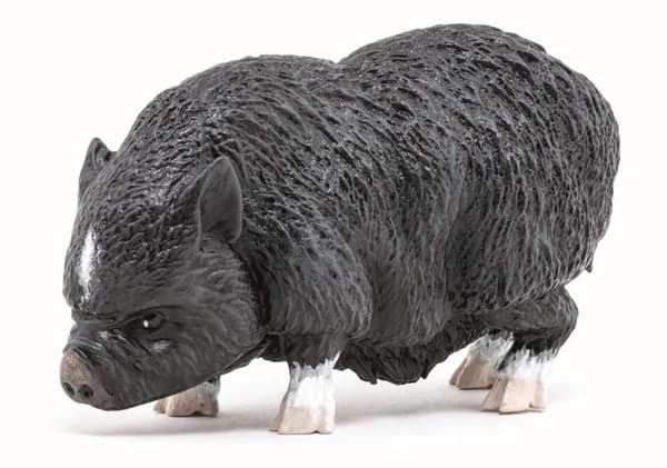 Vietnamesisk hængebugsvin