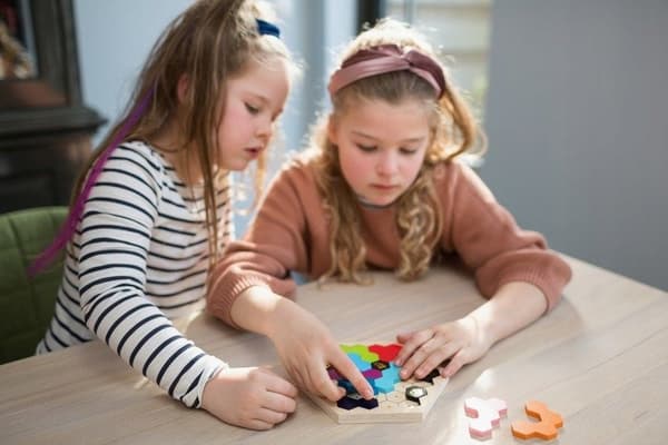 BS Toys Bi-tema Pussel