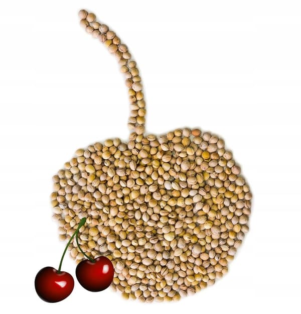 kirsikan kivet - 2 kg
