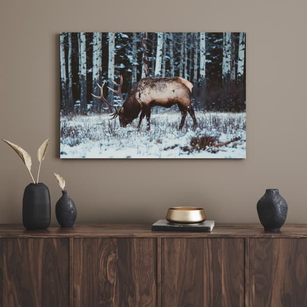 Lærredstryk Dyr Canadisk hjort 40x30