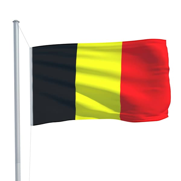 vidaXL Belgian lippu 90x150 cm