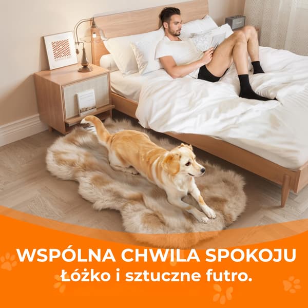 Pelsseng med memoryskum til hund/kat
