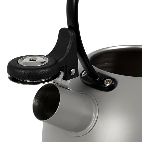 Kedel med fløjte, stål, grå, TRÆ, 2,9 l
