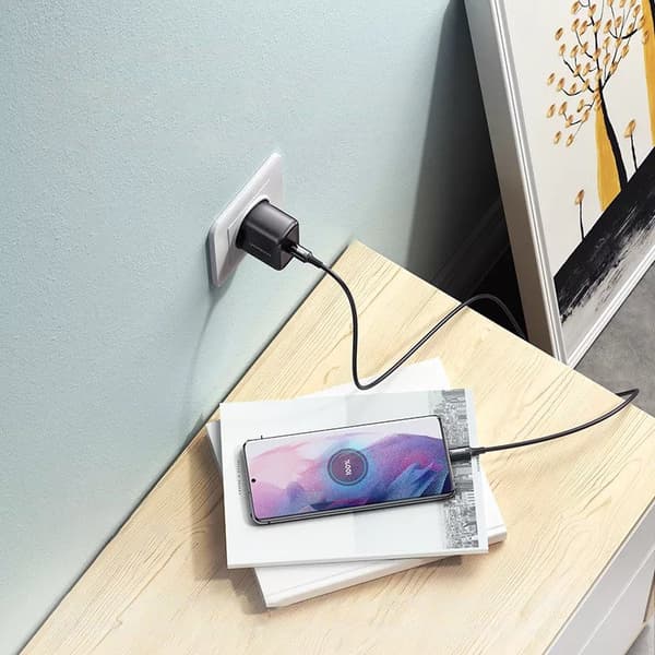 USB-C 25W PD Vægoplader til Telefon + 2m USB-C Kabel Sort