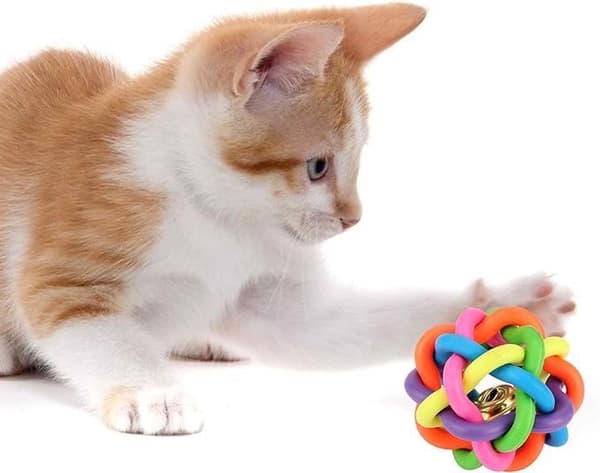 Gummiboll med klocka för djur