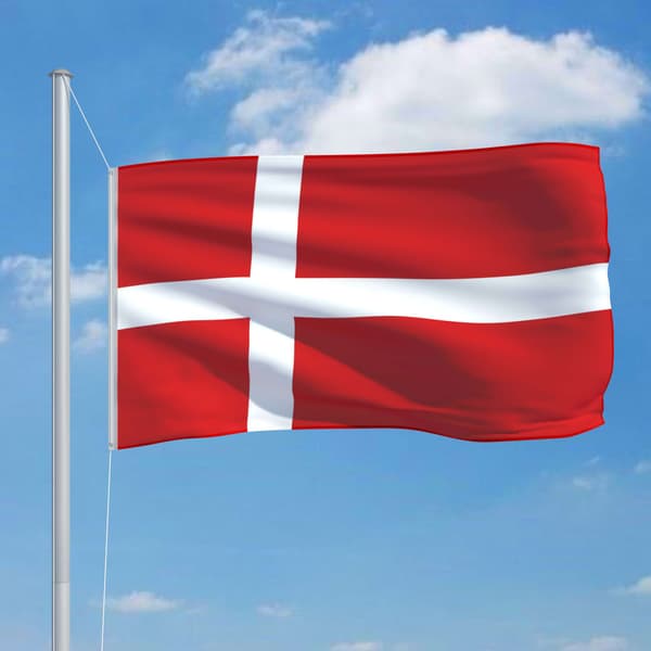vidaXL Dansk flagga, 90x150 cm