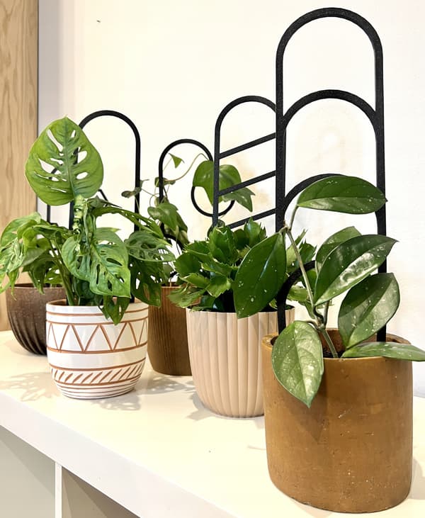 Stöd för klätterväxter Stöd för klätterblommor Pergolastege 38 cm