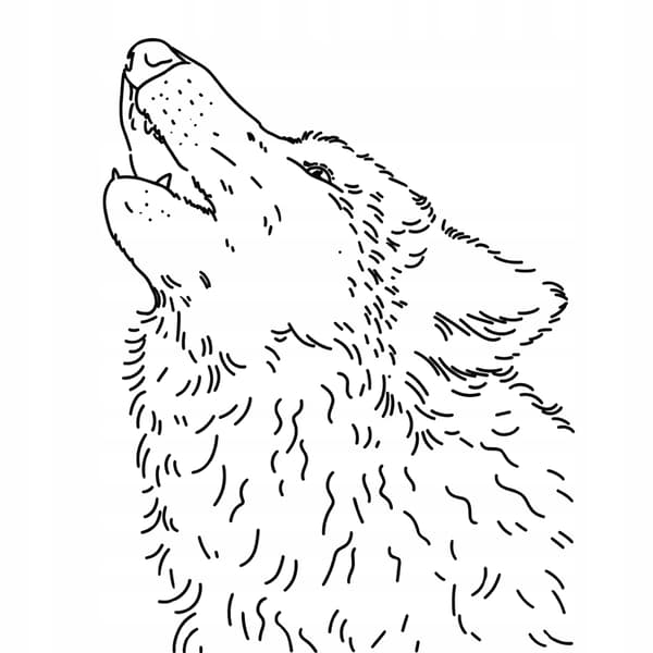 Craftbe Kahvipavut Proud Wolf 250g