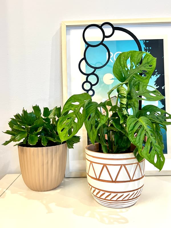 Stöd för klätterväxter Stöd för klätterblommor Pergolastege 38 cm
