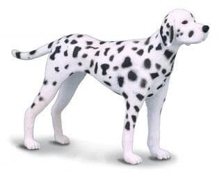 Dalmatinerhund