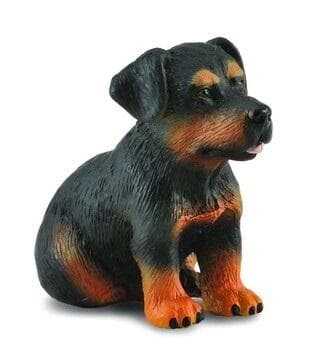 Rottweiler-koiranpentu