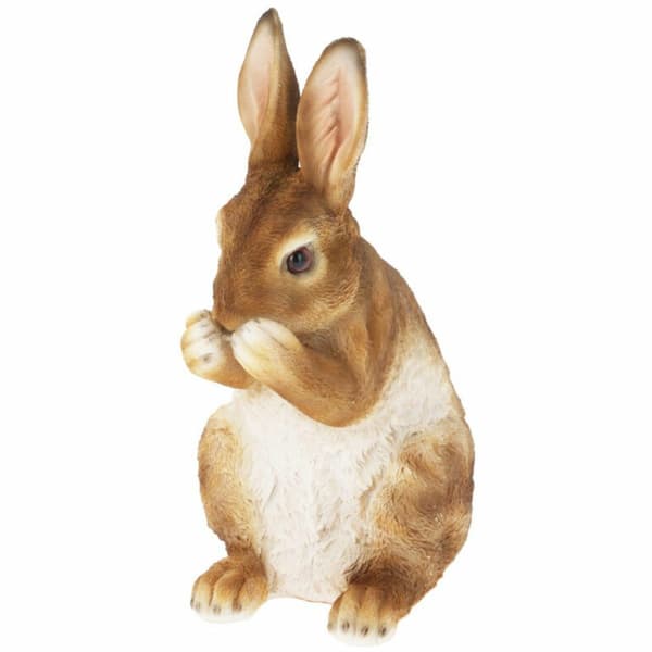 Puutarhahahmo seisova kani 26 cm kuvio 2