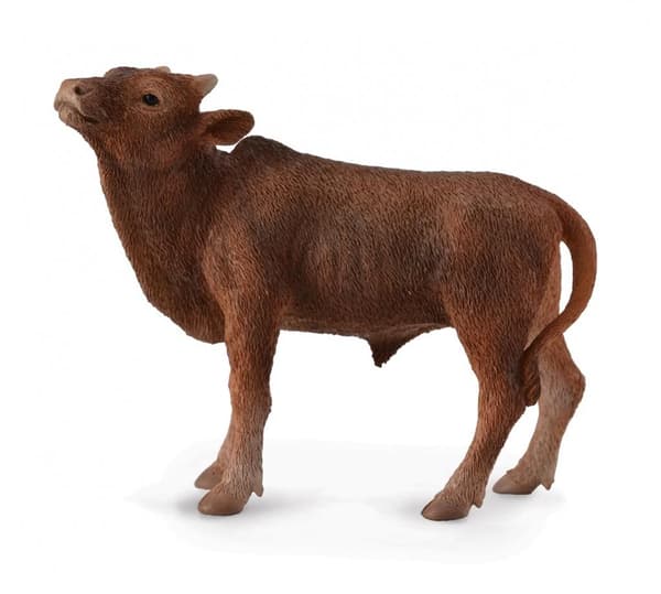 Ankole-Watusi-vasikka