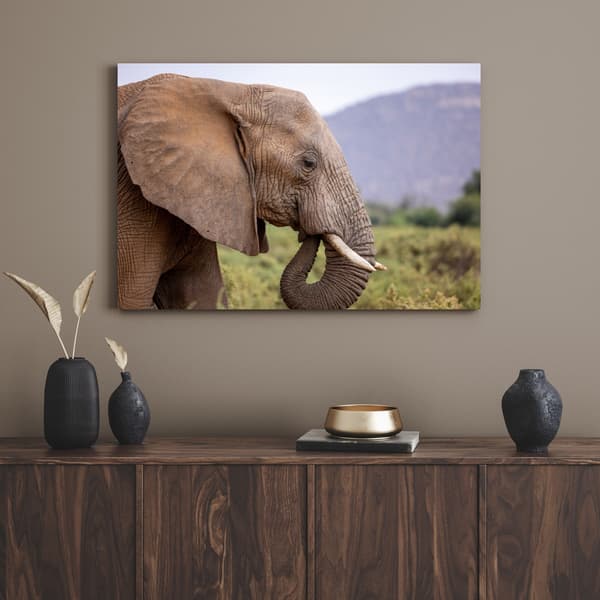 Lærredstryk Dyr Elefant nærbillede 80x40 cm