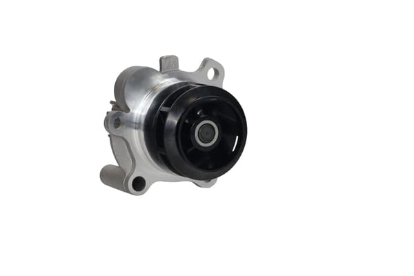 FT04483 HURTIG VANDPUMPE