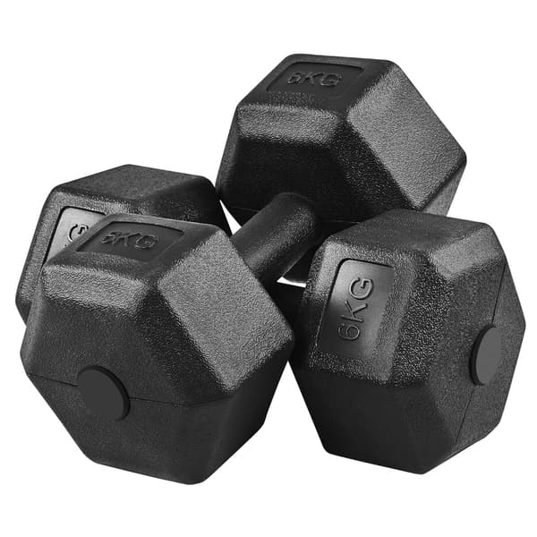 2 käsipainon setti KRONOS käsipainot 2x6 kg