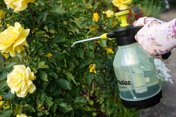 Håndtrykssprøjte 1,5L