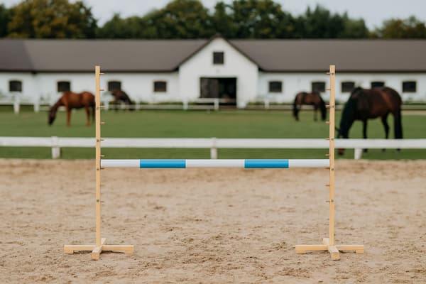 Hoppbom för hobbyhäst - ljusblå - 120 cm