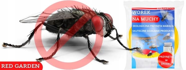 Flugfällapåse flugfälla med bete