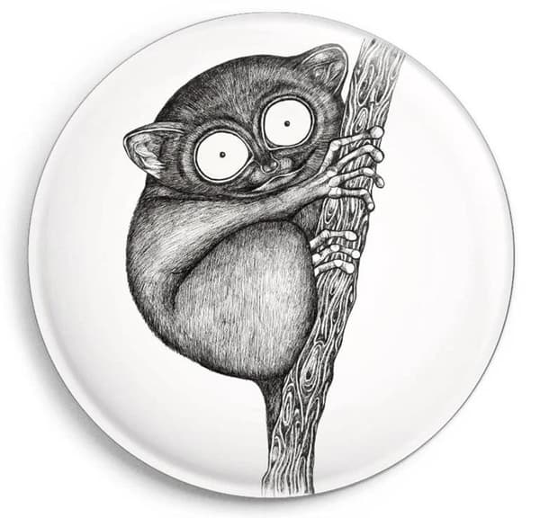 Tarsier-magnet