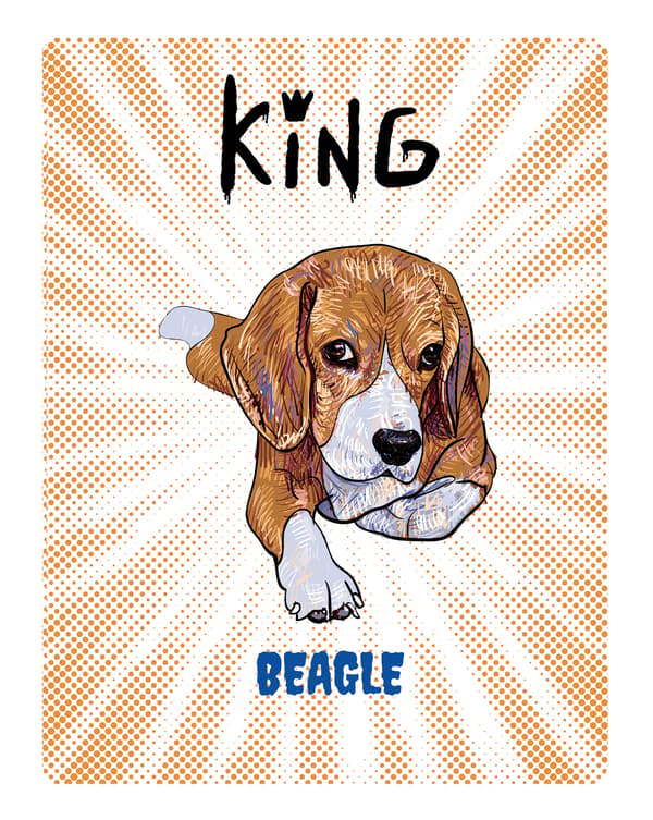 KONGE BEAGLE UNG TALLERKEN - 20x28 cm