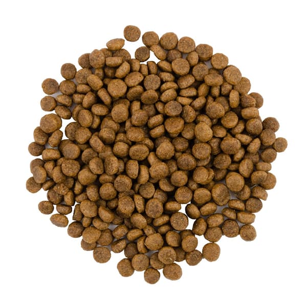 Savory Premium Tørfoder til Katte Voksen Senior Kalkun And 2 kg