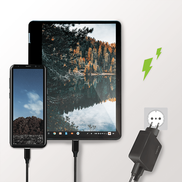 LogiLink USB-rejseadapter 1xUSB-C PD + 1xUSB-A QC 18W hurtigopladning