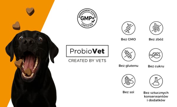ProbioVet 2 x 120 st.