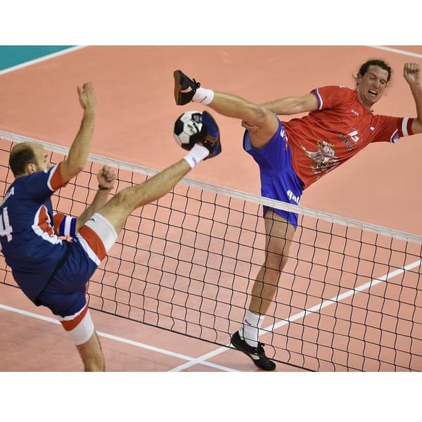 Fodboldnet - volleyballnet MASTER 9,5 x 1 m - sort